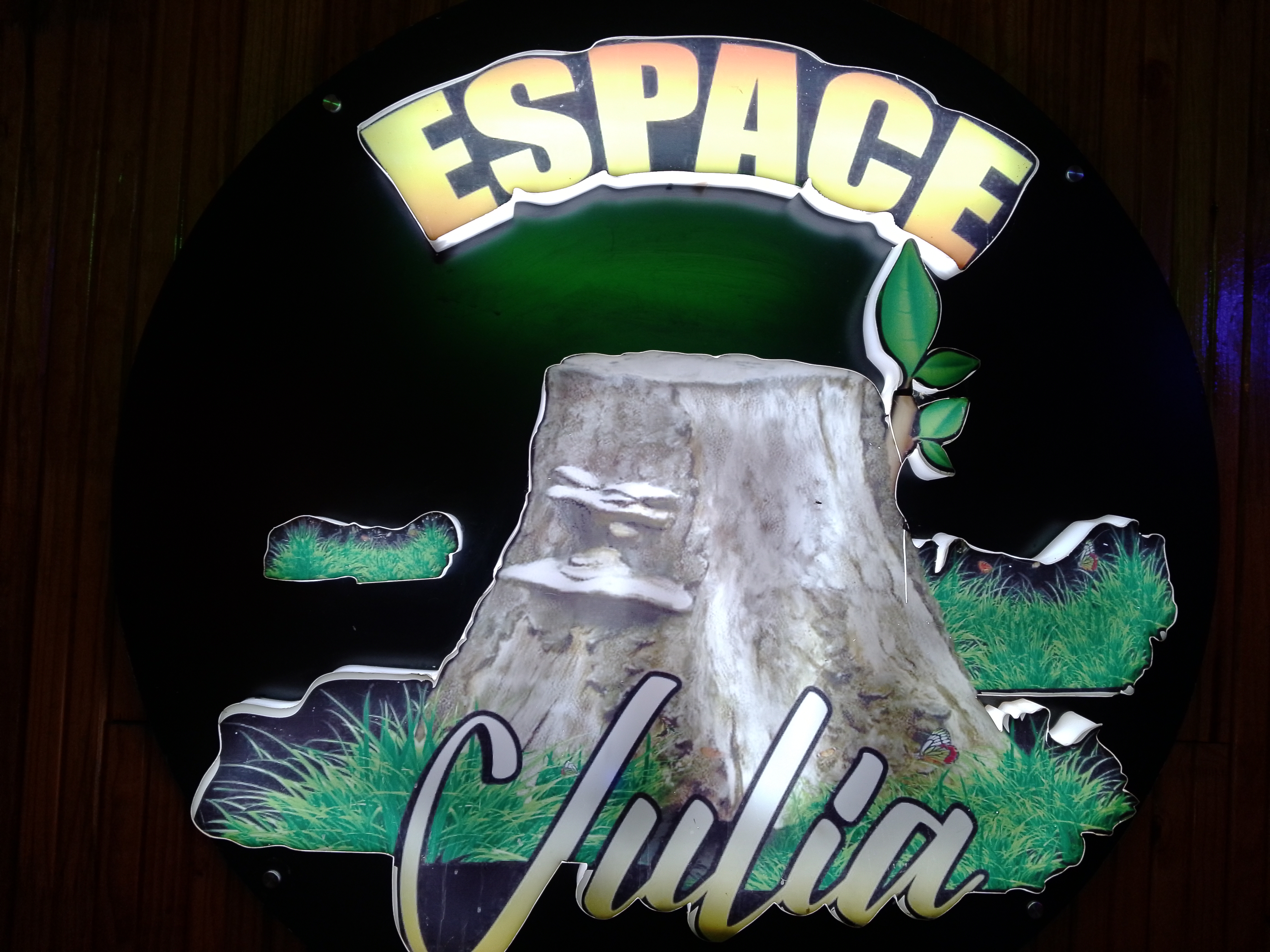 HAUT-KATANGA : Du Faible Commencement à l’Excellence : Hommage au Jeune Entrepreneur BIENFAIT NGOIE, Promoteur de l’Espace Julia à Kasumbalesa